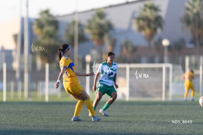 Daniela Gelacio » Santos Laguna vs Tigres UANL S19