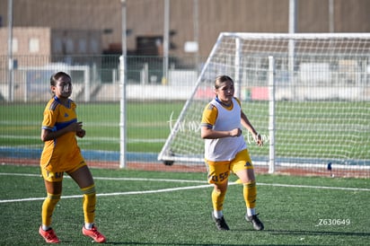 Santos Laguna vs Tigres UANL S19