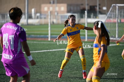 Santos Laguna vs Tigres UANL S19