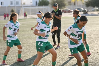 Santos Laguna vs Tigres UANL S19