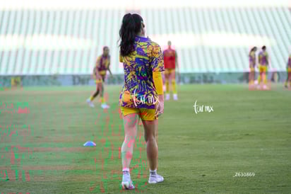 Diana Ordoñez | Santos vs Tigres femenil