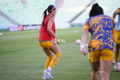 Greta Espinoza » Santos vs Tigres femenil
