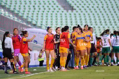 equipo | Santos vs Tigres femenil