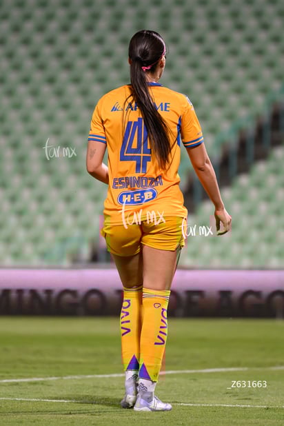 Greta Espinoza » Santos vs Tigres femenil