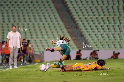 Santos vs Tigres femenil | Santos vs Tigres femenil