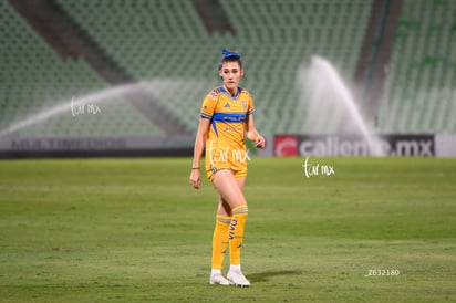 Tatiana Flores » Santos vs Tigres femenil