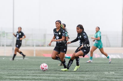 Santos Laguna vs Leon sub 19 | Santos Laguna vs Leon sub 19