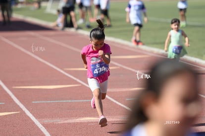 5K Colegio Americano con causa | 5K Colegio Americano carrera con causa 2024