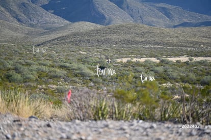 Cañón Jimulco, trail del sotol | Cañón Jimulco, trail del sotol