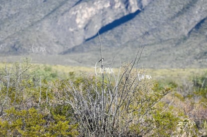 Cañón Jimulco, trail del sotol | Cañón Jimulco, trail del sotol