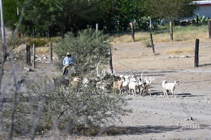 Cañón Jimulco, trail del sotol | Cañón Jimulco, trail del sotol