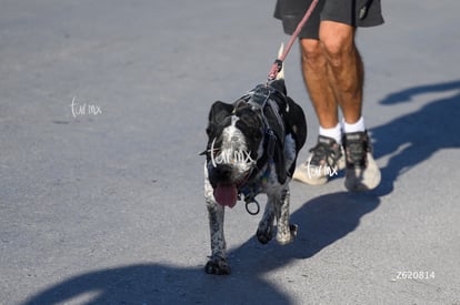 Carrera Artec 21K 12K 5K | Carrera Artec 21K 12K 5K