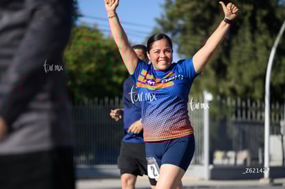 meraki | Carrera Artec 21K 12K 5K