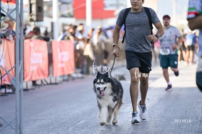 Carrera Artec 21K 12K 5K | Carrera Artec 21K 12K 5K