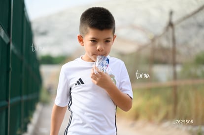 Carrera Moderna Sport Adidas 2025 | Carrera Moderna Sport Adidas 2025