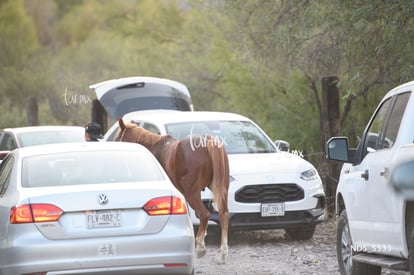 El Cruce, sexta edición 12K y 25K | El Cruce, sexta edición 12K y 25K