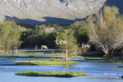 El Cruce, sexta edición 12K y 25K | El Cruce, sexta edición 12K y 25K