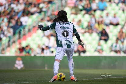 Carlos Acevedo | Santos Laguna vs Atlas J8