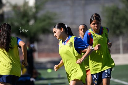 Santos Laguna vs Chivas femenil S19 | Santos Laguna vs Chivas femenil S19