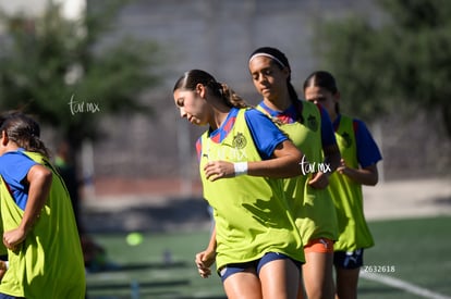 Santos Laguna vs Chivas femenil S19 | Santos Laguna vs Chivas femenil S19
