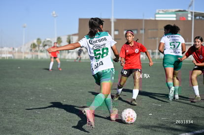Santos Laguna vs Club Tijuana femenil S19 | Santos Laguna vs Club Tijuana femenil S19