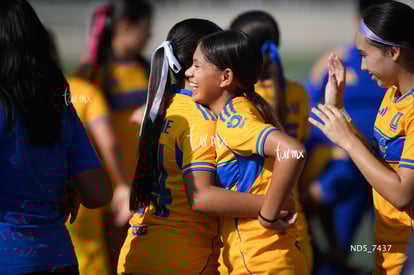 Santos Laguna vs Tigres UANL S19 | Santos Laguna vs Tigres UANL S19