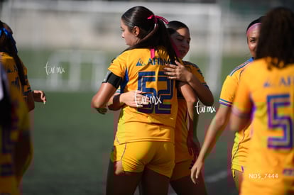 Santos Laguna vs Tigres UANL S19 | Santos Laguna vs Tigres UANL S19
