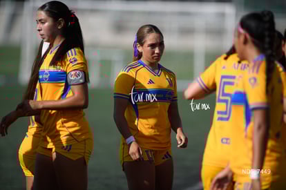 Santos Laguna vs Tigres UANL S19 | Santos Laguna vs Tigres UANL S19