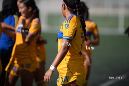 Santos Laguna vs Tigres UANL S19 | Santos Laguna vs Tigres UANL S19