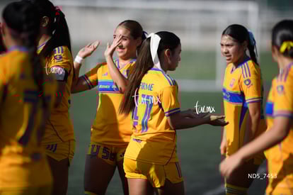 Santos Laguna vs Tigres UANL S19 | Santos Laguna vs Tigres UANL S19