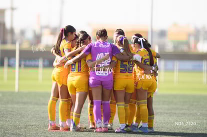 Tigres femenil | Santos Laguna vs Tigres UANL S19