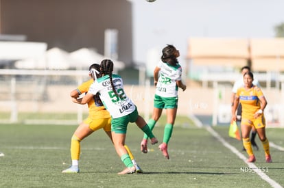 Santos Laguna vs Tigres UANL S19 | Santos Laguna vs Tigres UANL S19