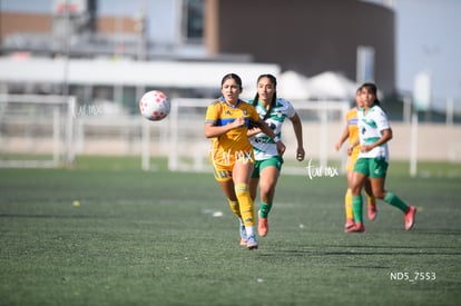Yaretssi Cardenas | Santos Laguna vs Tigres UANL S19