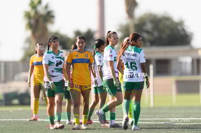 Santos Laguna vs Tigres UANL S19 | Santos Laguna vs Tigres UANL S19
