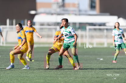 Renata Ramírez | Santos Laguna vs Tigres UANL S19