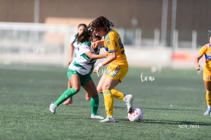 Santos Laguna vs Tigres UANL S19 | Santos Laguna vs Tigres UANL S19