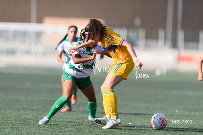 Santos Laguna vs Tigres UANL S19 | Santos Laguna vs Tigres UANL S19