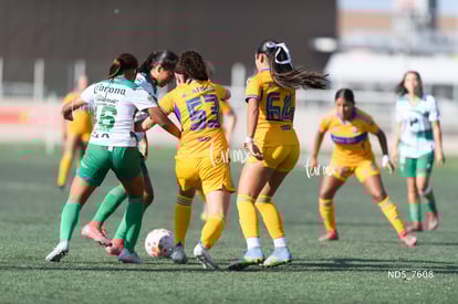 Genoveva Rojas, Lya Perez, Yaretssi Cardenas | Santos Laguna vs Tigres UANL S19