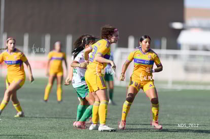 Santos Laguna vs Tigres UANL S19 | Santos Laguna vs Tigres UANL S19