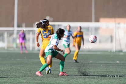 Santos Laguna vs Tigres UANL S19 | Santos Laguna vs Tigres UANL S19
