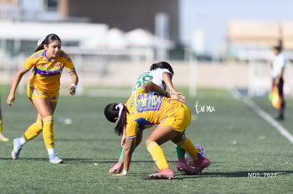 Yaretzi Rodríguez | Santos Laguna vs Tigres UANL S19