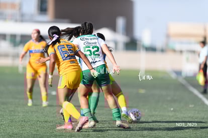 Santos Laguna vs Tigres UANL S19 | Santos Laguna vs Tigres UANL S19