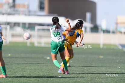 Renata Ramírez | Santos Laguna vs Tigres UANL S19