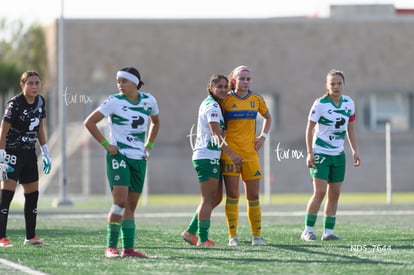 Santos Laguna vs Tigres UANL S19 | Santos Laguna vs Tigres UANL S19