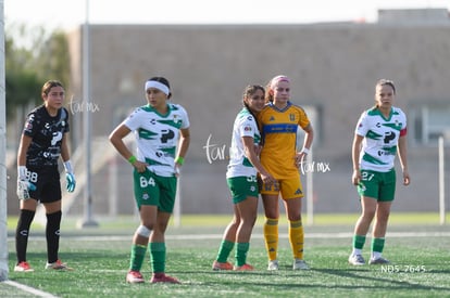 Santos Laguna vs Tigres UANL S19 | Santos Laguna vs Tigres UANL S19