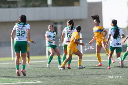 Santos Laguna vs Tigres UANL S19 | Santos Laguna vs Tigres UANL S19