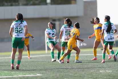 Santos Laguna vs Tigres UANL S19 | Santos Laguna vs Tigres UANL S19