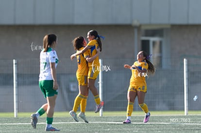 gol | Santos Laguna vs Tigres UANL S19