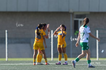 gol | Santos Laguna vs Tigres UANL S19