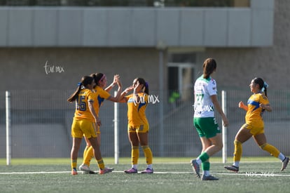 gol | Santos Laguna vs Tigres UANL S19
